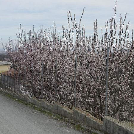 Agriturismo Ai Pruesot Bed & Breakfast Bagnolo Piemonte Exterior foto